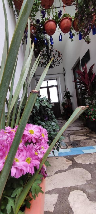 מלון קרטרו El Jardin De La Abuela מראה חיצוני תמונה